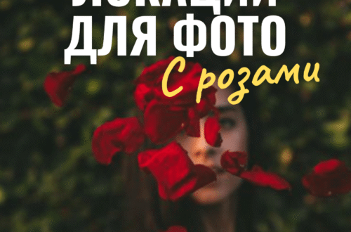 Розы в Крыму: фотопутешествие по розовым полям + БОНУС