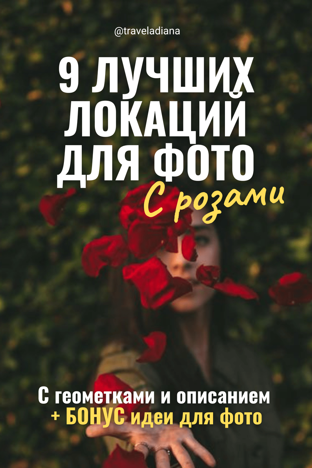 Roses in Crimea: A Photo Tour of Rose Fields + Bonus
